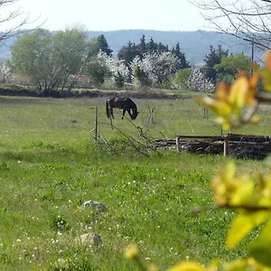 Campagne De Saint Clair Appartement